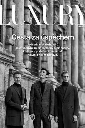 Dorint media Luxury Business