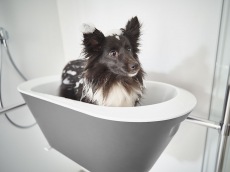 Sprchové kouty tube5